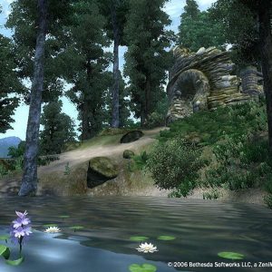 The Elder Scrolls IV: Oblivion GOTY Edition Deluxe EU PC Steam