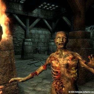 The Elder Scrolls IV: Oblivion GOTY Edition EU PC Steam CD Key