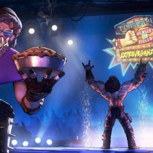 Borderlands 2 - Headhunter Pack 2: Wattle Gobbler DLC EU Steam CD Key