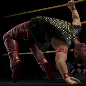 WWE 2K17 - Season Pass EU PC Steam CD Key