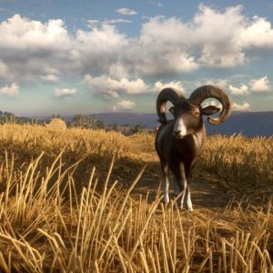 theHunter: Call of the Wild - Cuatro Colinas Game Reserve EU PC Steam