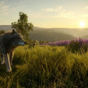 theHunter: Call of the Wild - Cuatro Colinas Game Reserve EU PC Steam
