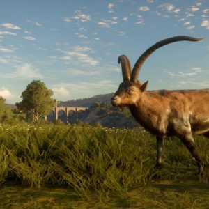 theHunter: Call of the Wild - Cuatro Colinas Game Reserve EU PC Steam