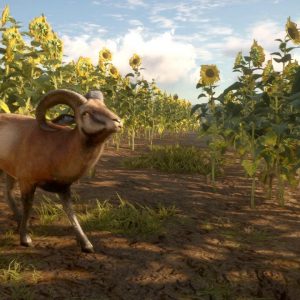 theHunter: Call of the Wild - Cuatro Colinas Game Reserve EU PC Steam