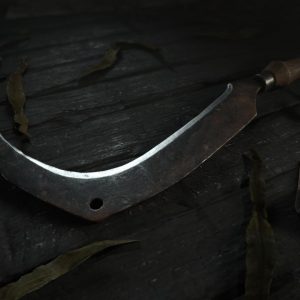 Hunt: Showdown 1896 - Live by the Blade DLC EU PC Steam Altergift