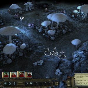 Wasteland 2: Director's Cut EU Steam CD Key
