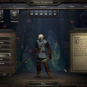 Pillars of Eternity Royal Edition EU Steam CD Key