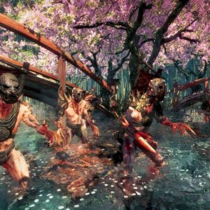 Shadow Warrior Special Edition EU Steam CD Key