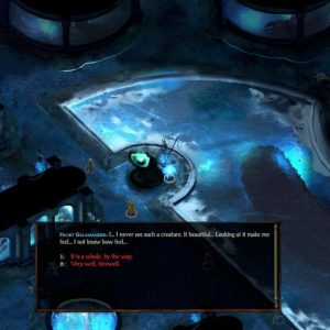 Icewind Dale: Enhanced Edition EU PC Steam