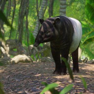 Planet Zoo - Southeast Asia Animal Pack DLC EU PC Steam CD Key