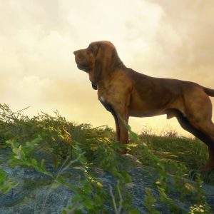 theHunter: Call of the Wild - Bloodhound DLC EU PC Steam