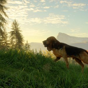 theHunter: Call of the Wild - Bloodhound DLC EU PC Steam
