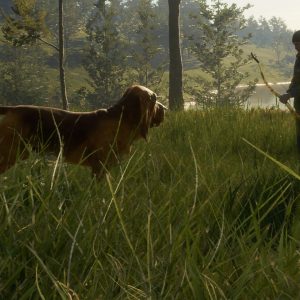 theHunter: Call of the Wild - Bloodhound DLC EU PC Steam