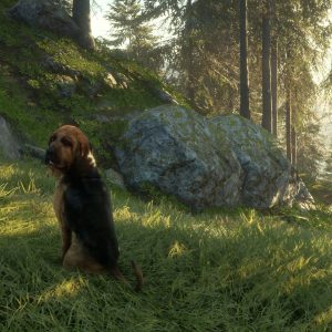 theHunter: Call of the Wild - Bloodhound DLC EU PC Steam