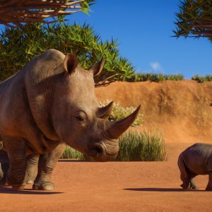 Planet Zoo - Africa Pack DLC EU PC Steam CD Key