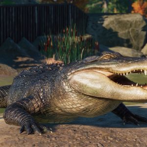 Planet Zoo - North America Animal Pack DLC EU Steam CD Key