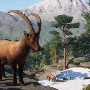 Planet Zoo - Europe Pack DLC EU Steam CD Key