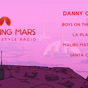 Surviving Mars - Mars Lifestyle Radio DLC EU Steam CD Key