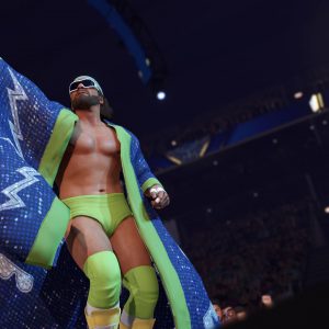 WWE 2K22 - Season Pass DLC EU PC Steam CD Key