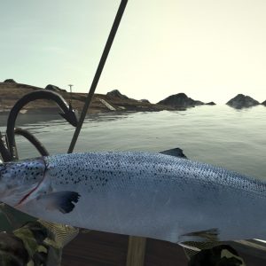 Ultimate Fishing Simulator - Greenland DLC EU Steam CD Key
