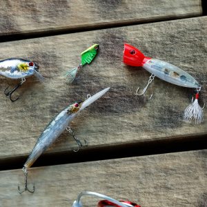 Ultimate Fishing Simulator - Sakura Lures DLC EU Steam CD Key