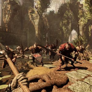 Warhammer: Vermintide 2 - Collector's Edition Upgrade DLC EU Steam CD Key