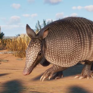 Planet Zoo - Grasslands Animal Pack DLC EU Steam CD Key