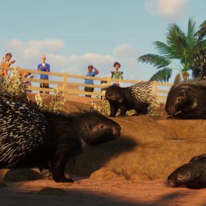 Planet Zoo - Arid Animal Pack DLC EU PC Steam CD Key