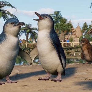 Planet Zoo - Oceania Pack DLC EU Steam CD Key