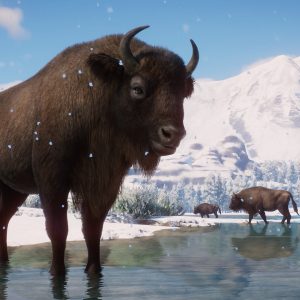 Planet Zoo - Eurasia Animal Pack DLC EU Steam CD Key