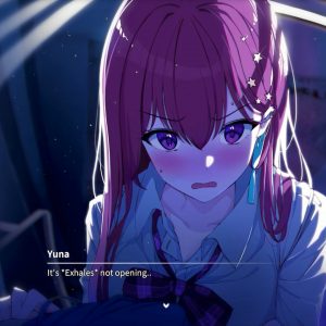 Eternights Deluxe Edition EU PC Steam CD Key
