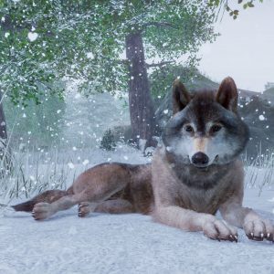 Planet Zoo: Ultimate Edition 2022 EU Steam CD Key