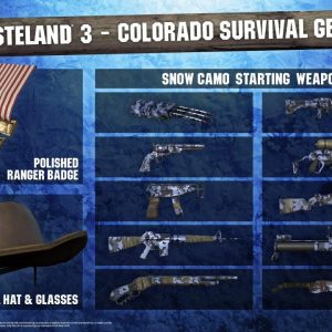 Wasteland 3 - Colorado Survival Gear DLC EU PS4 CD Key