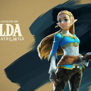 The Legend of Zelda: Breath of the Wild Expansion Pass DLC EU Nintendo Switch CD Key