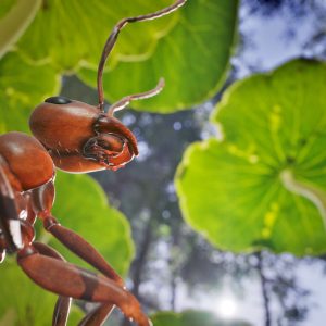 Empire of the Ants PC Steam CD Key