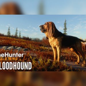 theHunter: Call of the Wild - Bloodhound DLC EU PC Steam