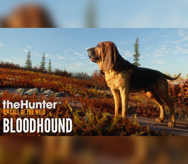 theHunter: Call of the Wild - Bloodhound DLC EU PC Steam