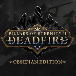Pillars of Eternity II: Deadfire Obsidian Edition EU PC Steam