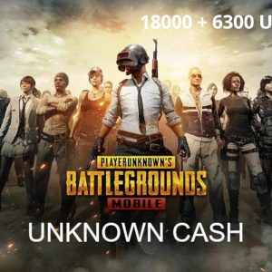 PUBG Mobile - 24000 + 8400 UC CD Key