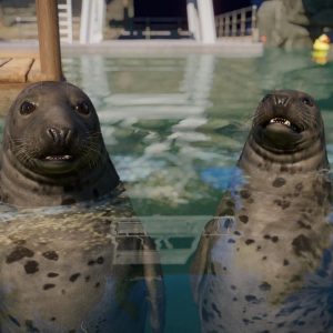 Planet Zoo - Aquatic Pack DLC EU PC Steam CD Key