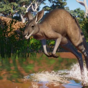 Planet Zoo - Australia Pack DLC EU PC Steam CD Key