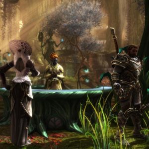Kingdoms of Amalur: Re-Reckoning FATE Edition EU Steam CD Key