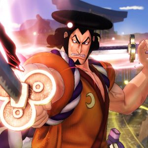 ONE PIECE: PIRATE WARRIORS 4 - Character Pass DLC EU Steam CD Key
