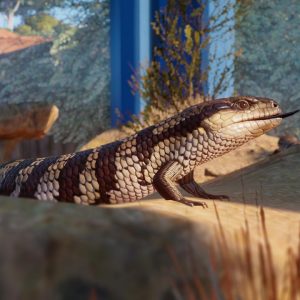 Planet Zoo - Australia Pack DLC EU PC Steam CD Key