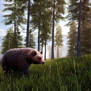 Hunting Simulator 2 - Bear Hunter Pack DLC EU PC Steam