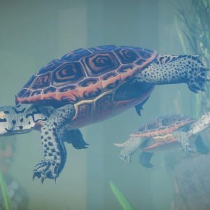 Planet Zoo - Aquatic Pack DLC EU PC Steam CD Key
