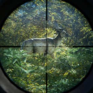 theHunter: Call of the Wild - 2019 Edition EU Steam CD Key