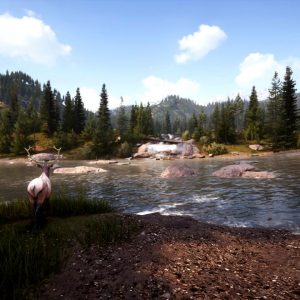 Hunting Simulator 2 - Bear Hunter Pack DLC EU PC Steam
