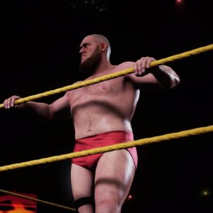WWE 2K18 - MyPlayer Kickstarter Pack DLC EU Steam CD Key