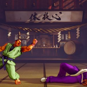 Street Fighter V - Season 5 Character Pass DLC EU Steam CD Key
